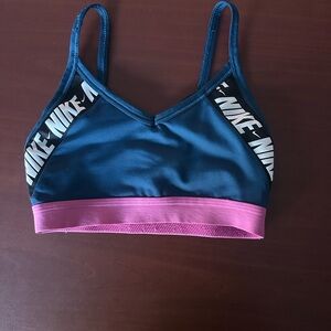 Nike Blue and Pink Sports Bra